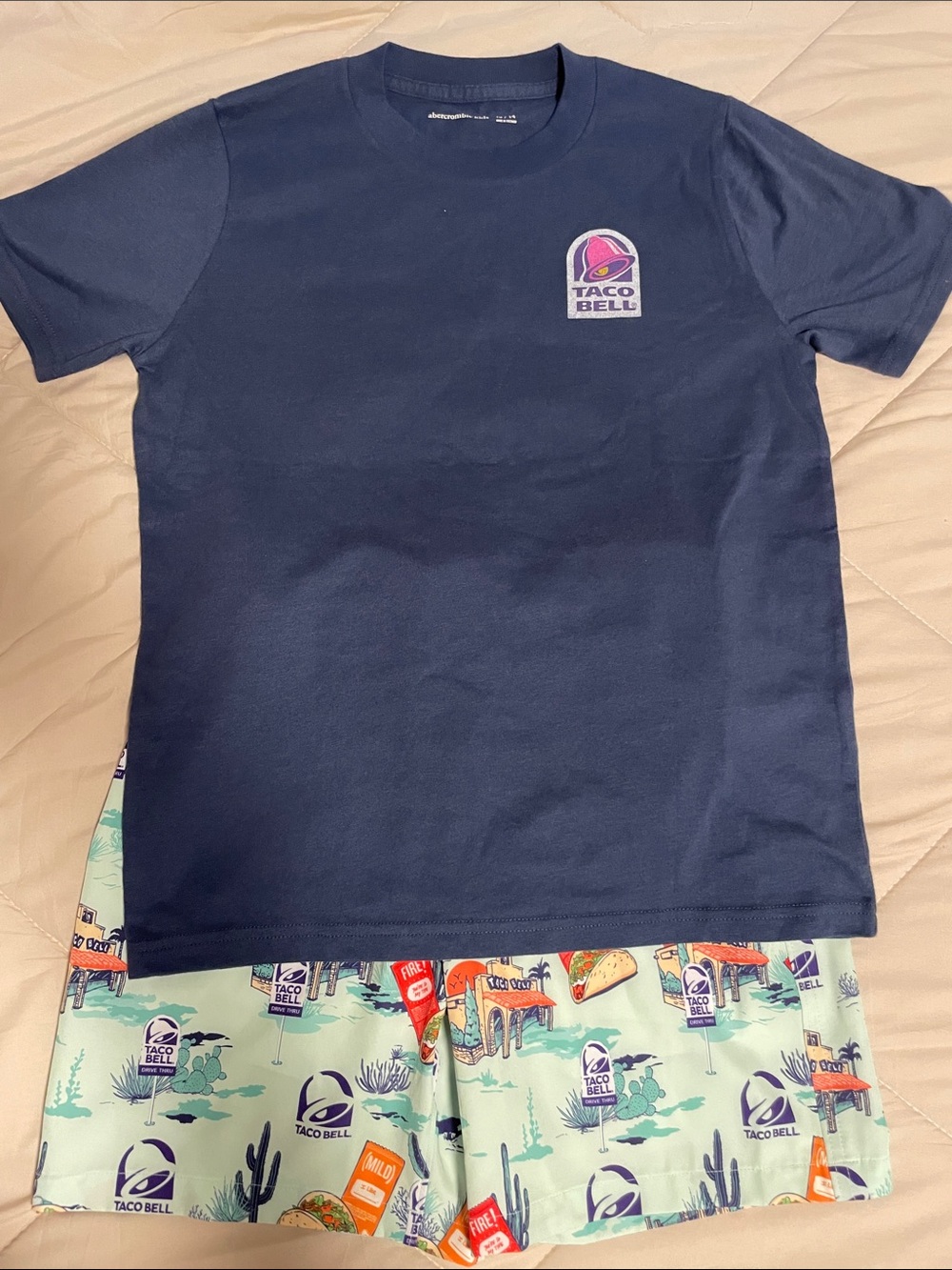 abercrombie kids Boys Taco Bell bathing suit and tshirt - Size 13/14